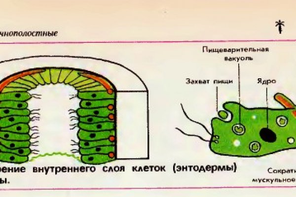 Kraken дарк магазин