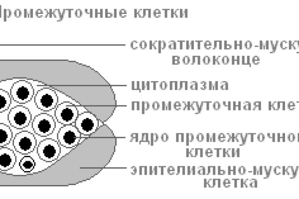 Кракен почему пользователь не найден