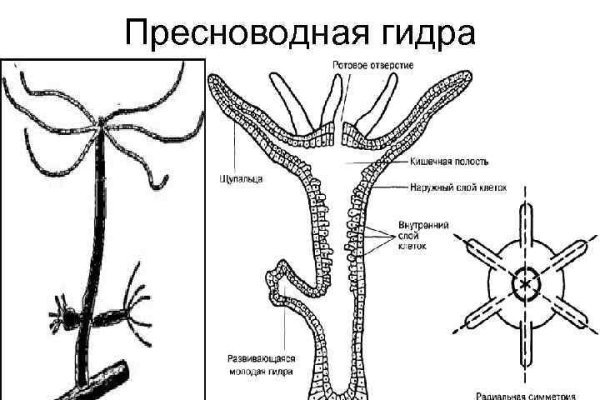 Кракен какой сайт